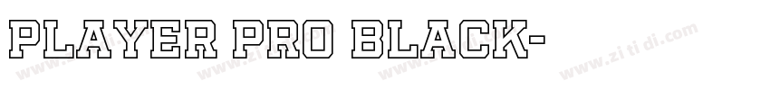 Player Pro Black字体转换